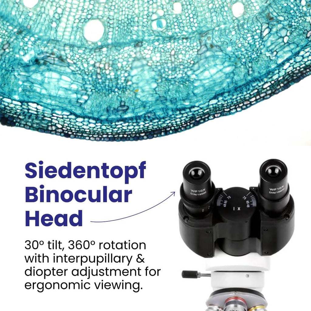 B120C-E5 Series & Professional LED Binocular Compound Microscope | 40X-2500X Magnification Range 5MP CMOS Sensor USB