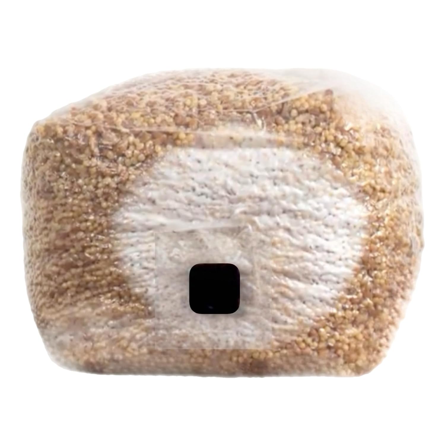Organic Sterlized Mushroom Spawn Bag, 1 Pack