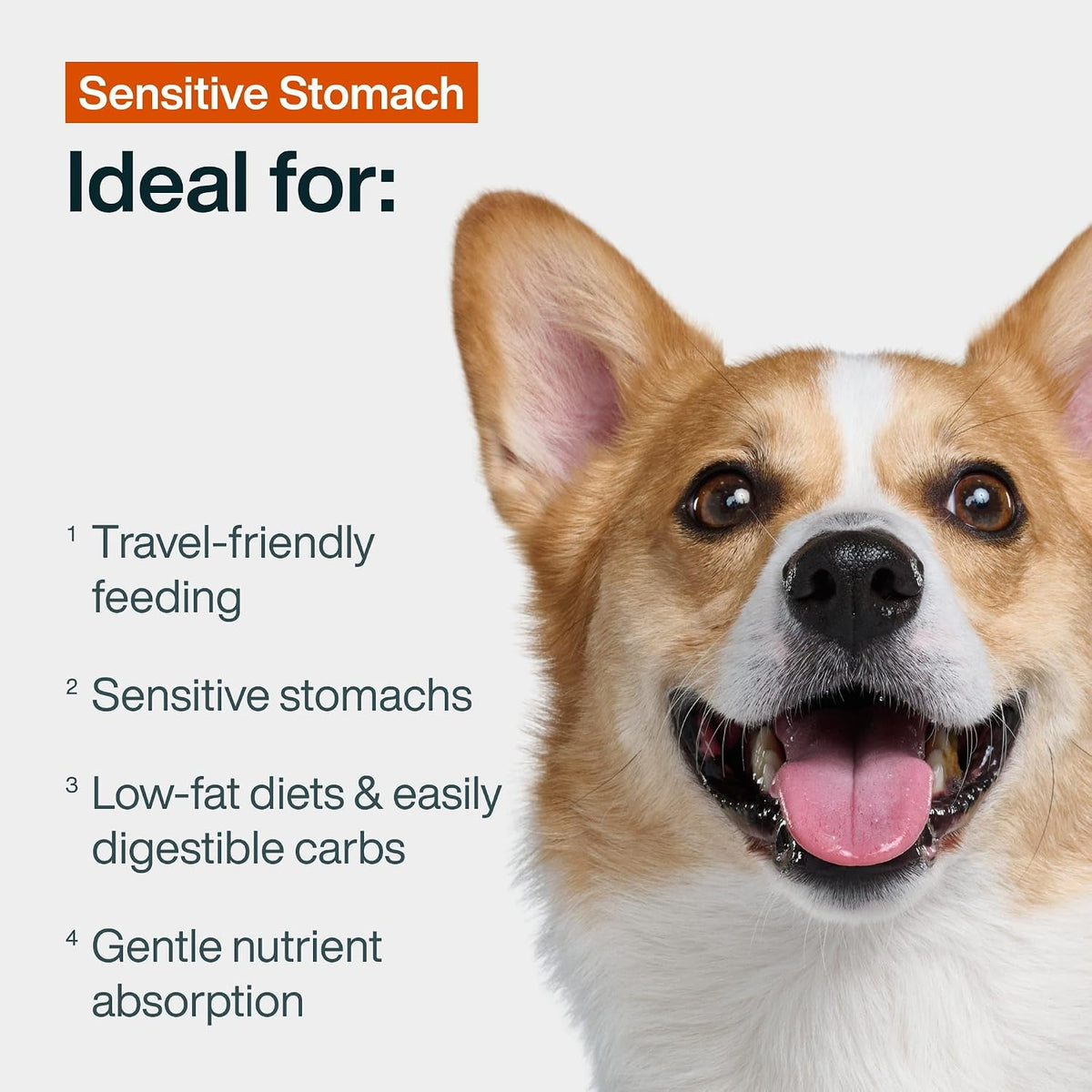 JustFresh Fresh Sensitive Stomach Dog Food Pouches - 7 Pack