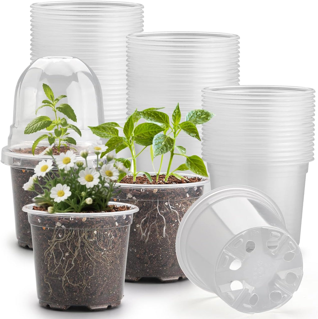 60 Pack Clear Nursery Pots with Humidity Domes, 4 Inch Plastic Plant Pots with Drainage Holes for Seedlings
