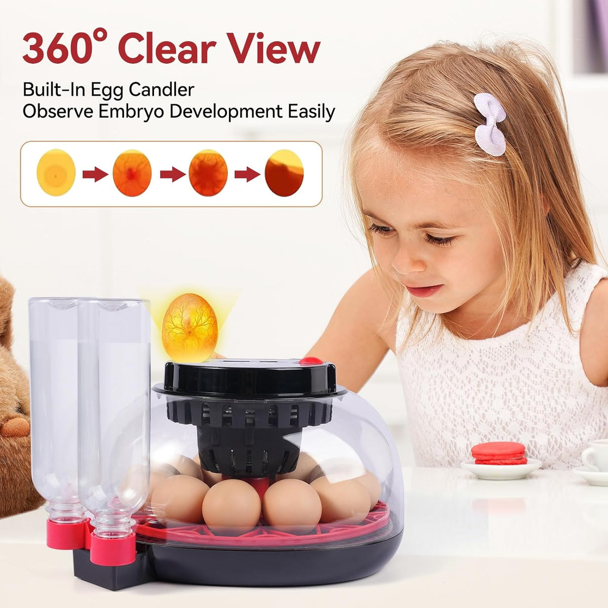12 Egg Incubators for Hatching Eggs, Chicken Egg Incubator with Automatic Egg Turning and Temperature Humidity