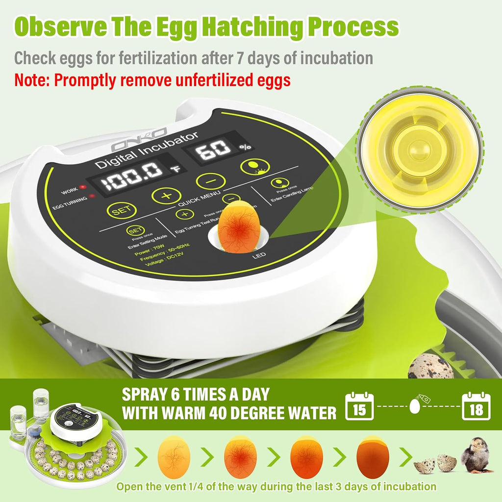 40 Quail Egg Incubator with Automatic Egg Turning Humidity Control Eggs