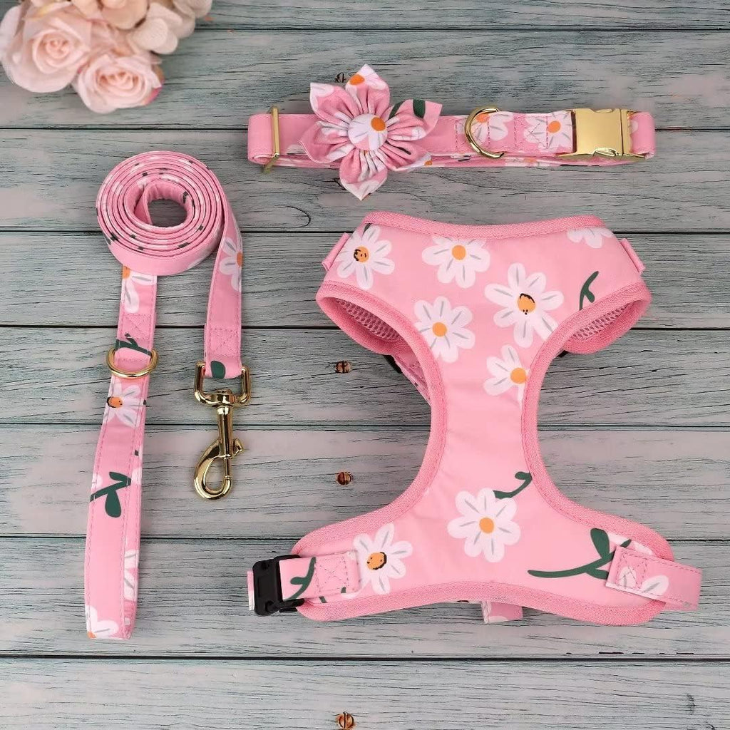 Cute Girl Dog Collars, Harnesses & Leashes Set - Adjustable Dog Collar and Leash Set with Flower - Soft Mesh Dog Vest