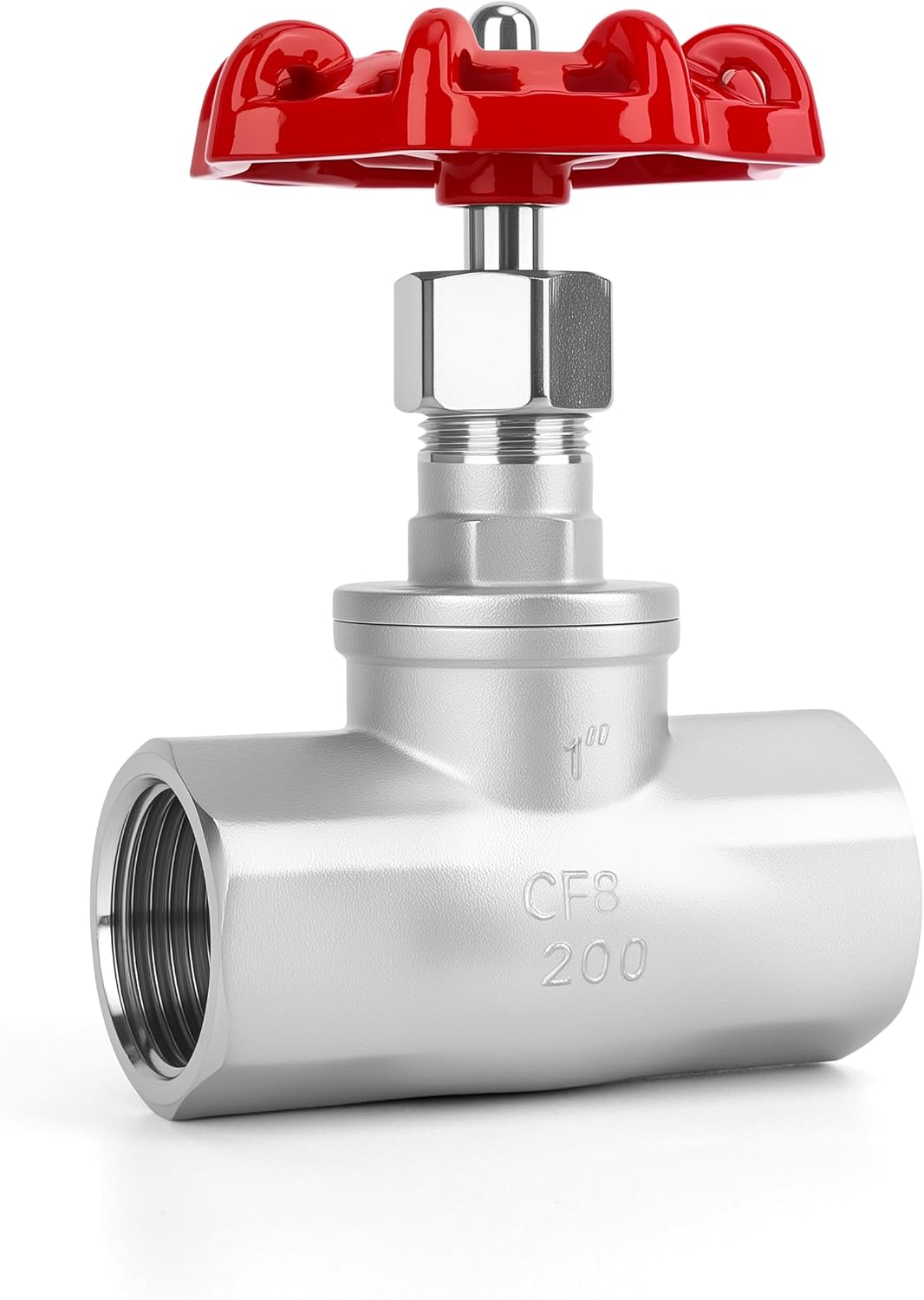 1" NPT B-Type Straight Pattern Globe Valve, Stainless, Female Thread, DN25