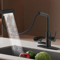 Pull Down Kitchen Faucet with Glass Rinser (Black)