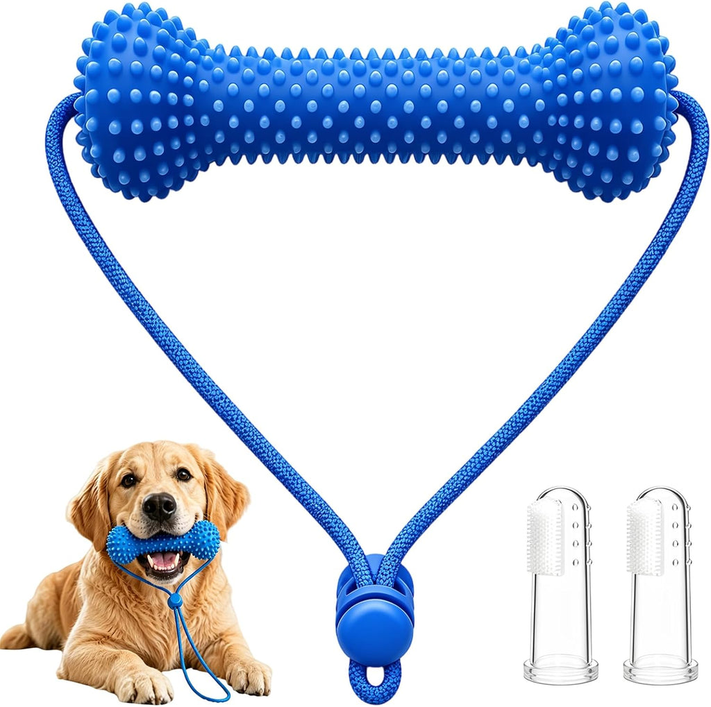 Dual-Action Canine Dental Prop,Dog Teeth Cleaning Chew Toys,Equipped with Mini Finger Toothbrush(2Pcs),Small Dog Oral