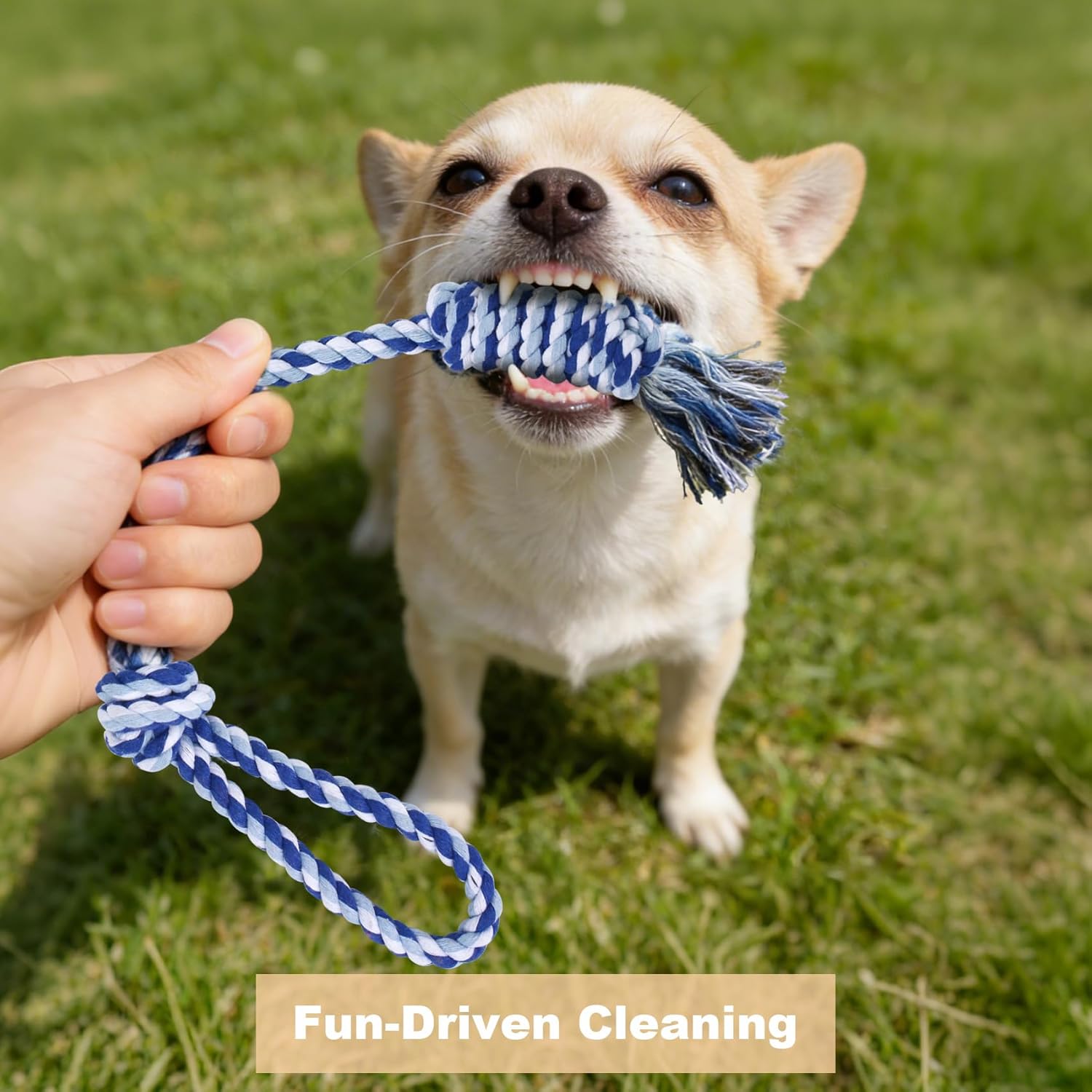 Dog Rope Toys for Small Dogs, 4-Pack Durable Puppy Rope Chew Toys for Teething, Puppy Tug of War Interactive Toy