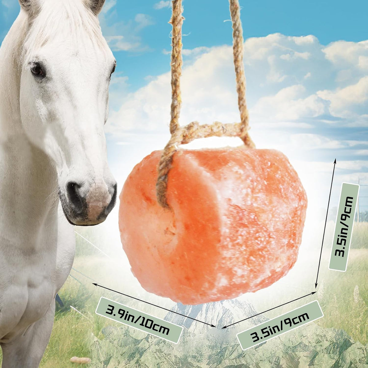 Animal Salt Lick Block on Rope for Horses,Deer,Cattle,Sheep Livestock Natural Organic Mineral Intake Long Lasting