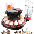 12 Egg Incubators for Hatching Eggs Automatic Egg Incubator with Temperature Control Humidity Control and Display for