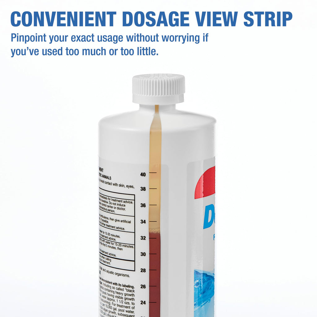 Algaecide 60 | Pro-Grade, Metal-Free & Non-Foaming | Prevents All Algae Types | No Stains or Clouding | Safe for