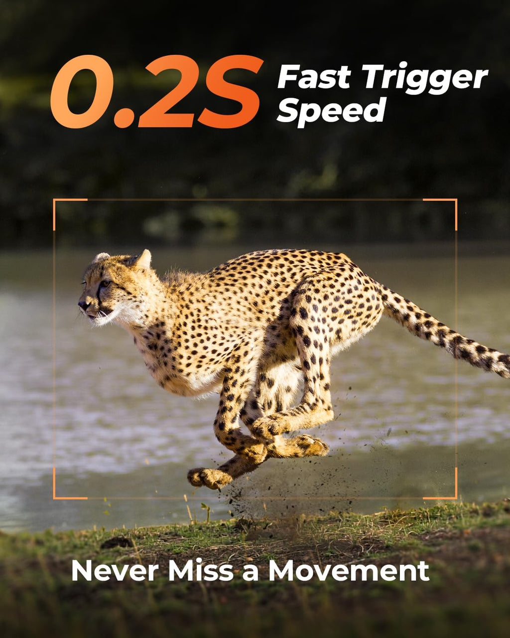 Trail Camera, Cellular Trail Camera with AI Animal Detection, Game Camera Built-in SIM Card 4G Unlimited Data Plan 2K