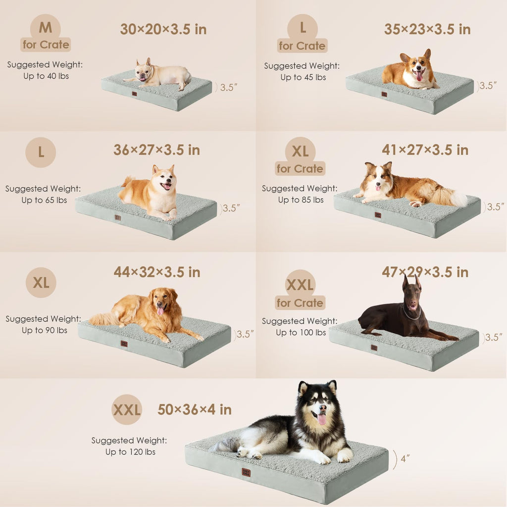 Orthopedic Dog Bed Large with Removable Washable Cover, 35x23