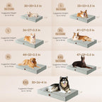 Orthopedic Dog Bed Large with Removable Washable Cover, 35x23