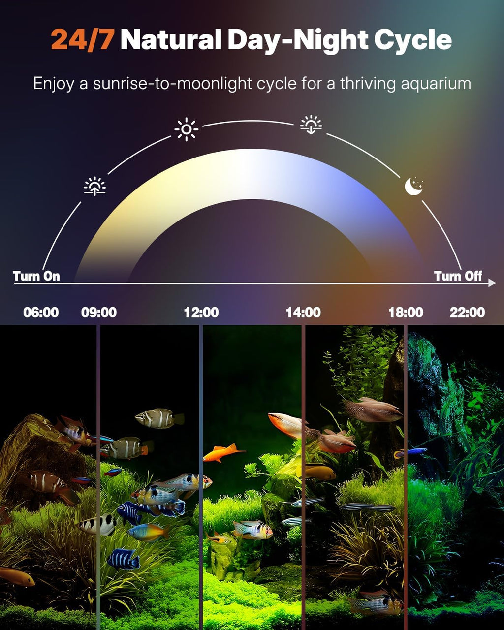 Aquarium Light with Bluetooth for Plants, 6.5W 12 inch Full Spectrum Fish Tank Light for 13-22 inch Fish Tanks