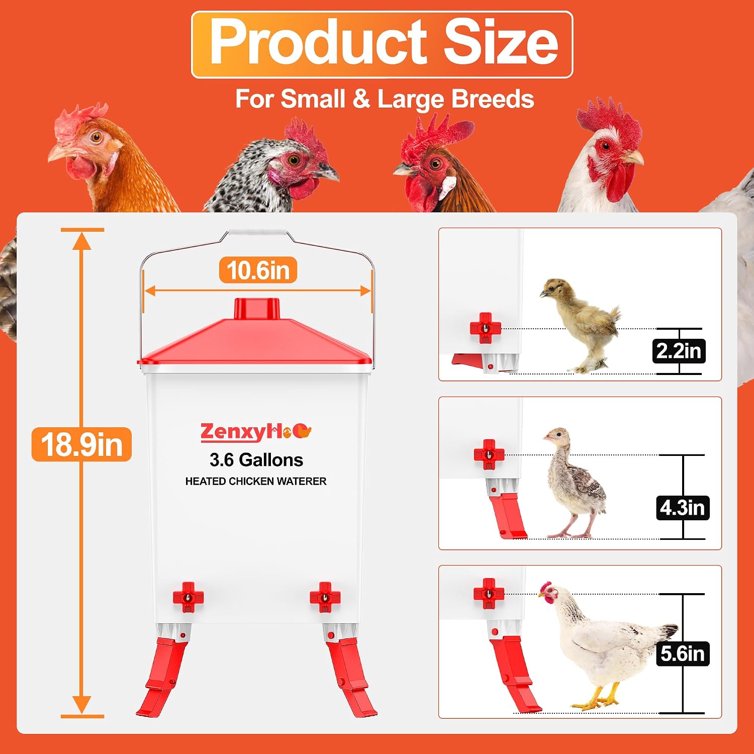 3.6 Gal Chicken Waterer with 4 Water Nipples - 3 Height Adjustable | Anti-roost Cone and Locking Legs Design