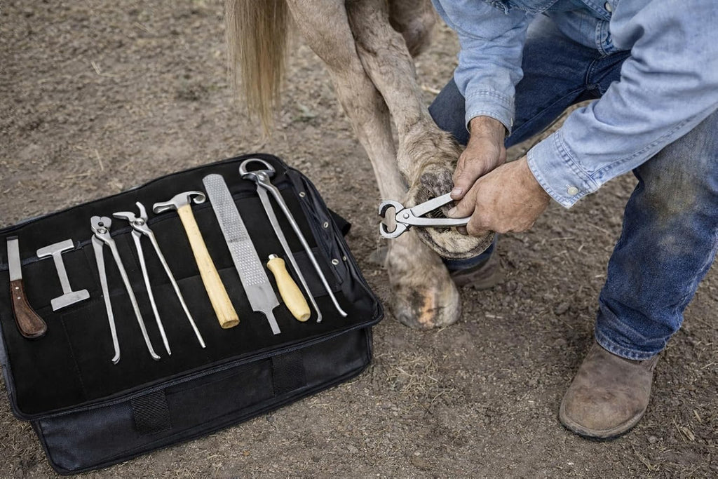 8 Piece Horse Equine Farrier Hoof Grooming Shoe Care Tool Kit w/Carry Bag 98448