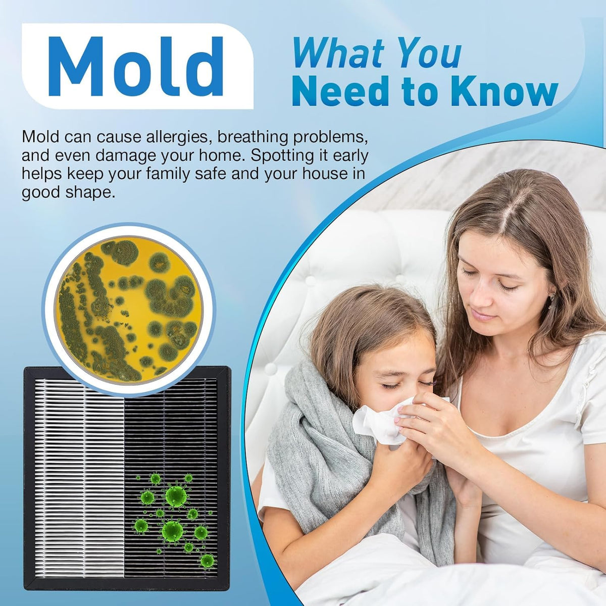 Mold Test Kit for Home - 8 Simple Detection Tests for Surface Mold, HVAC System & Indoor Air Quality - DIY Black Mold
