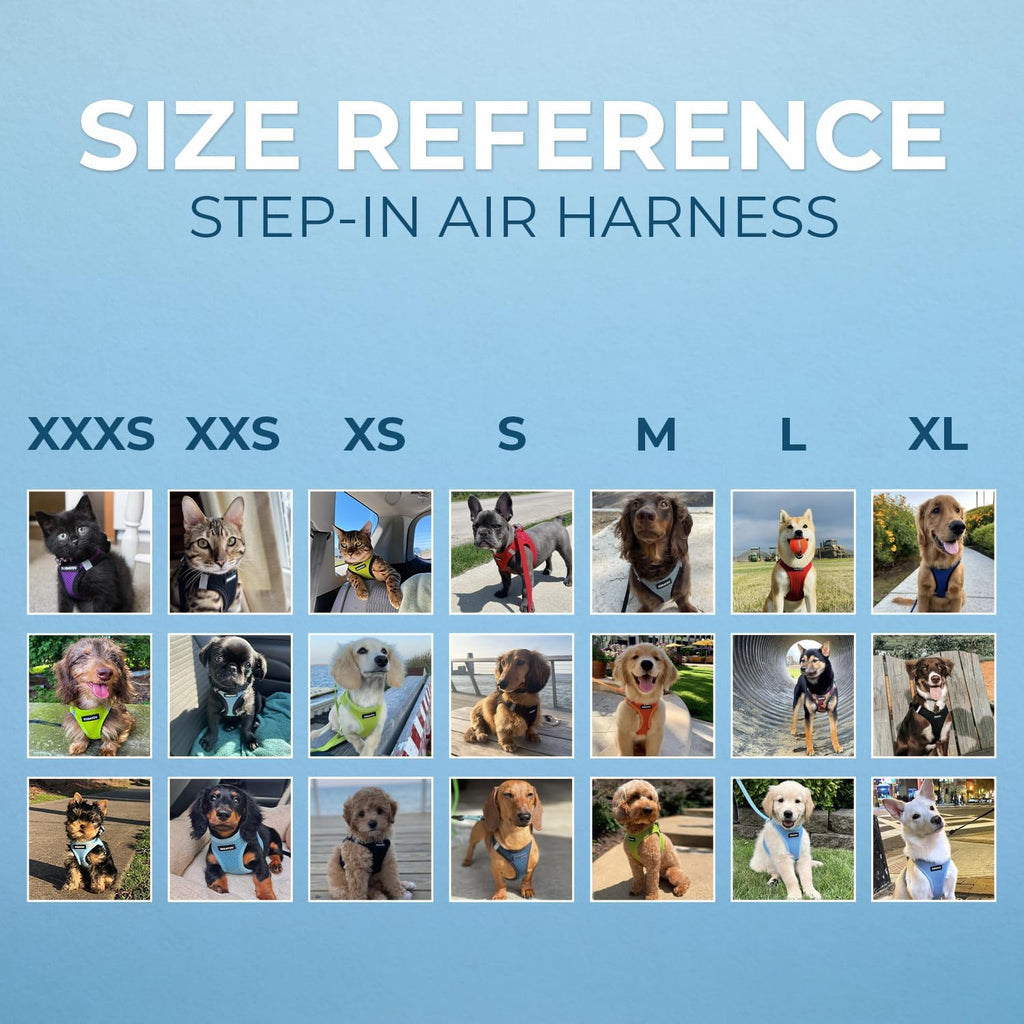 Voyager Step-in Air Harness - All Weather Mesh, Reflective, No Pull Harness for Dogs, Cats - Secure with Hook & Loop