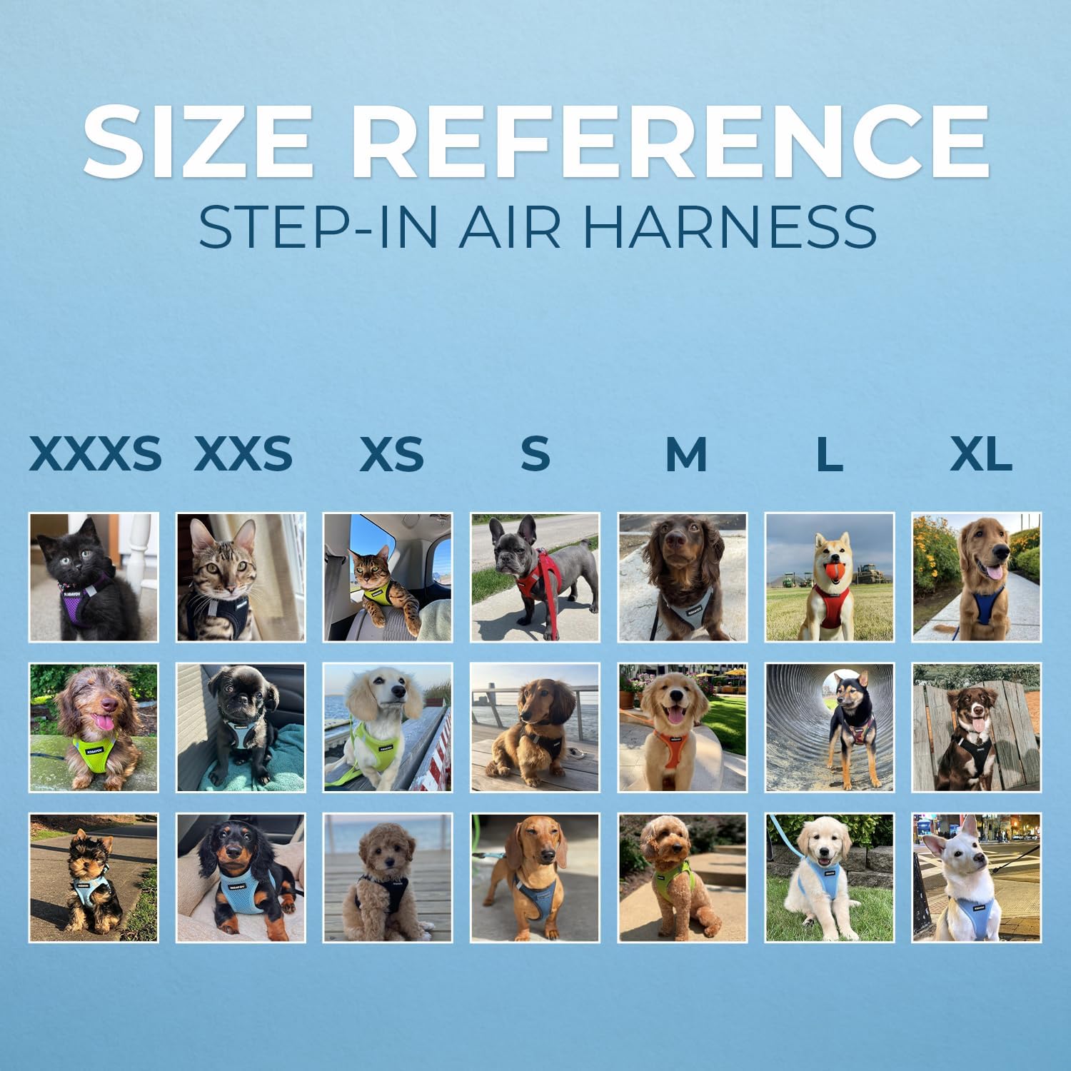 Voyager Step-in Air Harness - All Weather Mesh, Reflective, No Pull Harness for Dogs, Cats - Secure with Hook & Loop