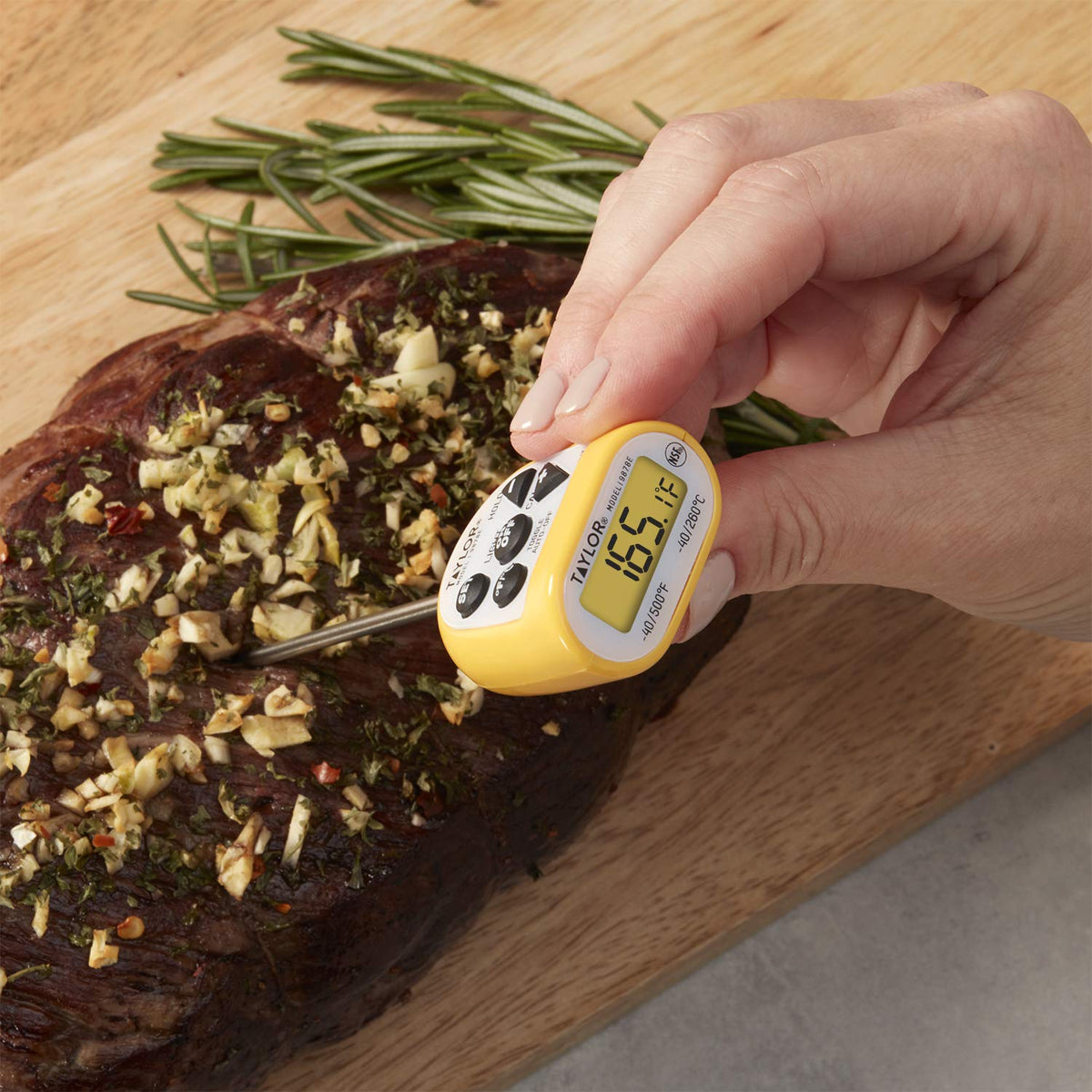 Digital Meat Thermometer