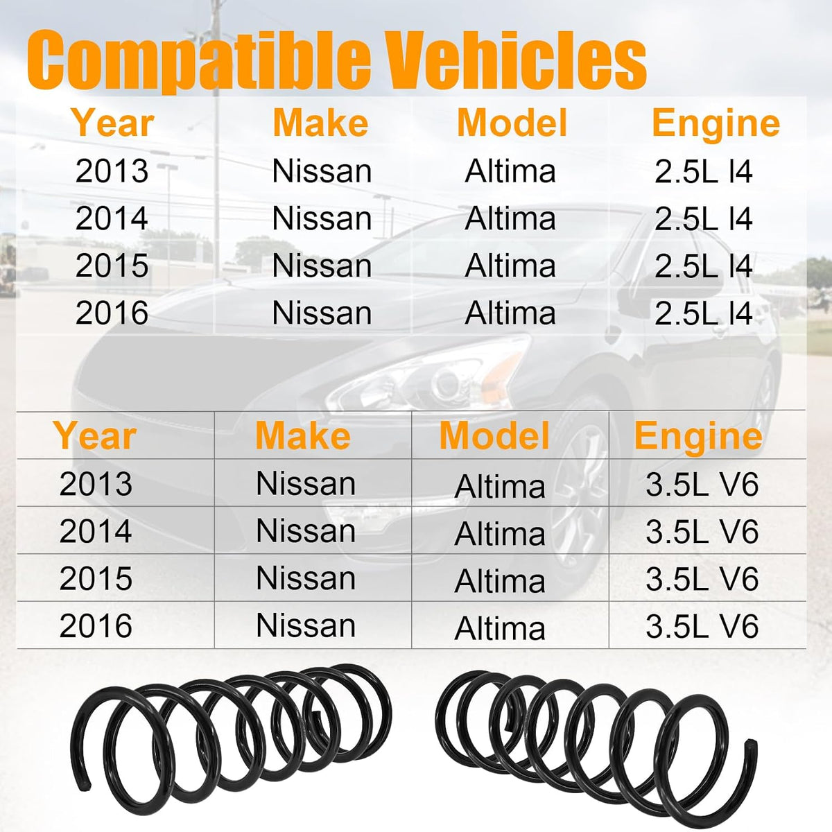 55020-3TA0C Rear Coil Spring Suspension Fits for Nissan Altima