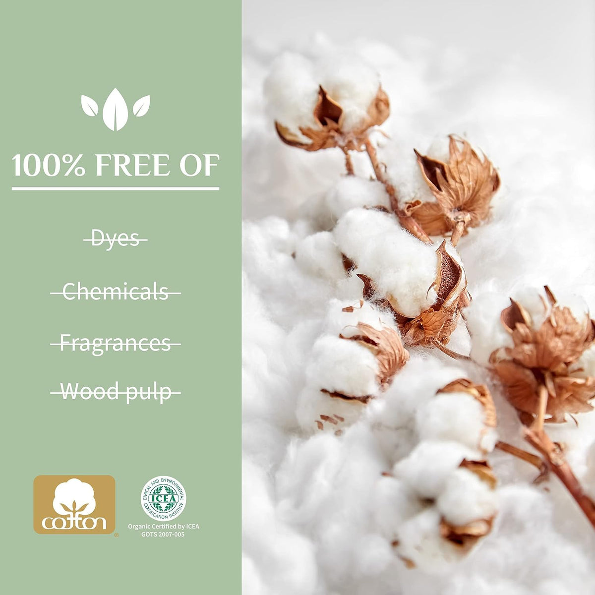 – 100% Organic Cotton Liners for Bladder Leaks, Ultra Thin, 24 Count