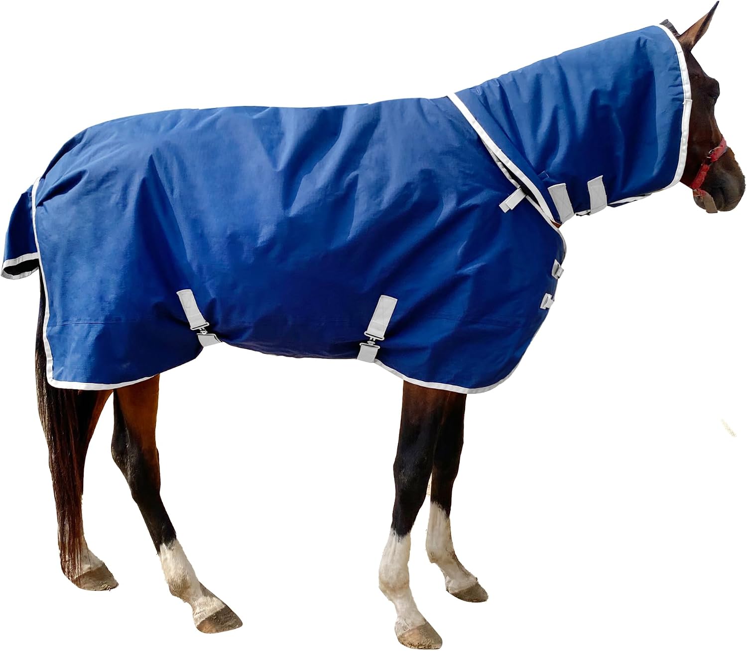 Horse Blanket Winter Water Resistant,220g Polyester Fiber Filling Liner 1200D Premium Turnout Horse Blanket,Medium