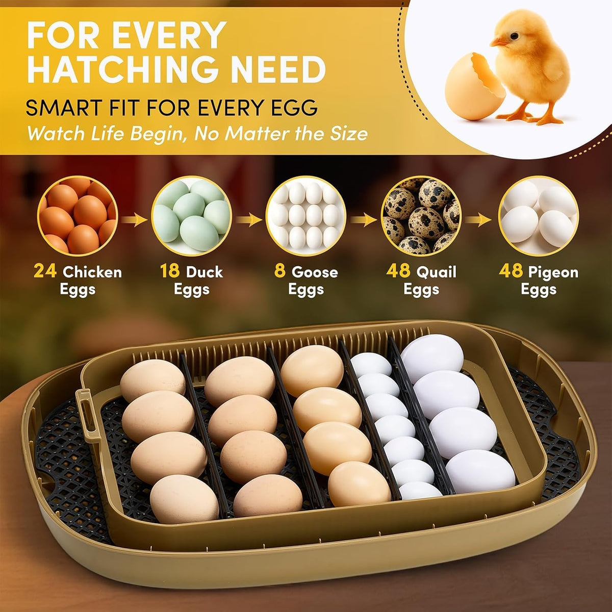 24 Egg Incubator, Incubators for Hatching Eggs with Fully Automatic Turner & Candler, Smart Temperature & Humidity