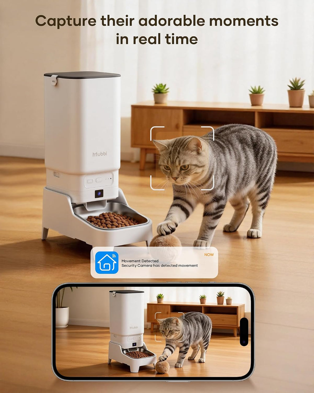 Automatic Cat Feeder with Camera - 7L/29 Cups Auto Dog Feeder with Large Food Tray & 1080P Night Vision, Elevated