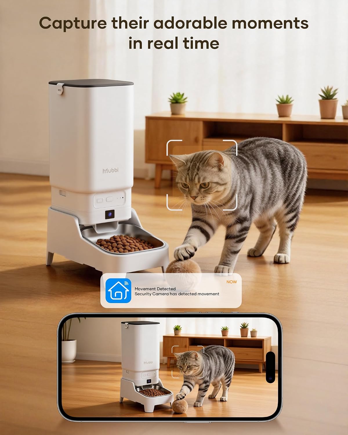 Automatic Cat Feeder with Camera - 7L/29 Cups Auto Dog Feeder with Large Food Tray & 1080P Night Vision, Elevated