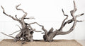 Spider Wood Natural Aquarium Decor Branches 4pcs 12-16in Decoration