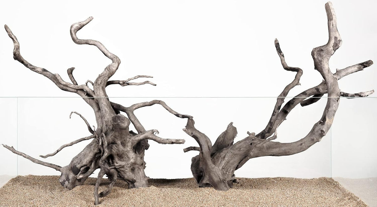 Spider Wood Natural Aquarium Decor Branches 4pcs 12-16in Decoration
