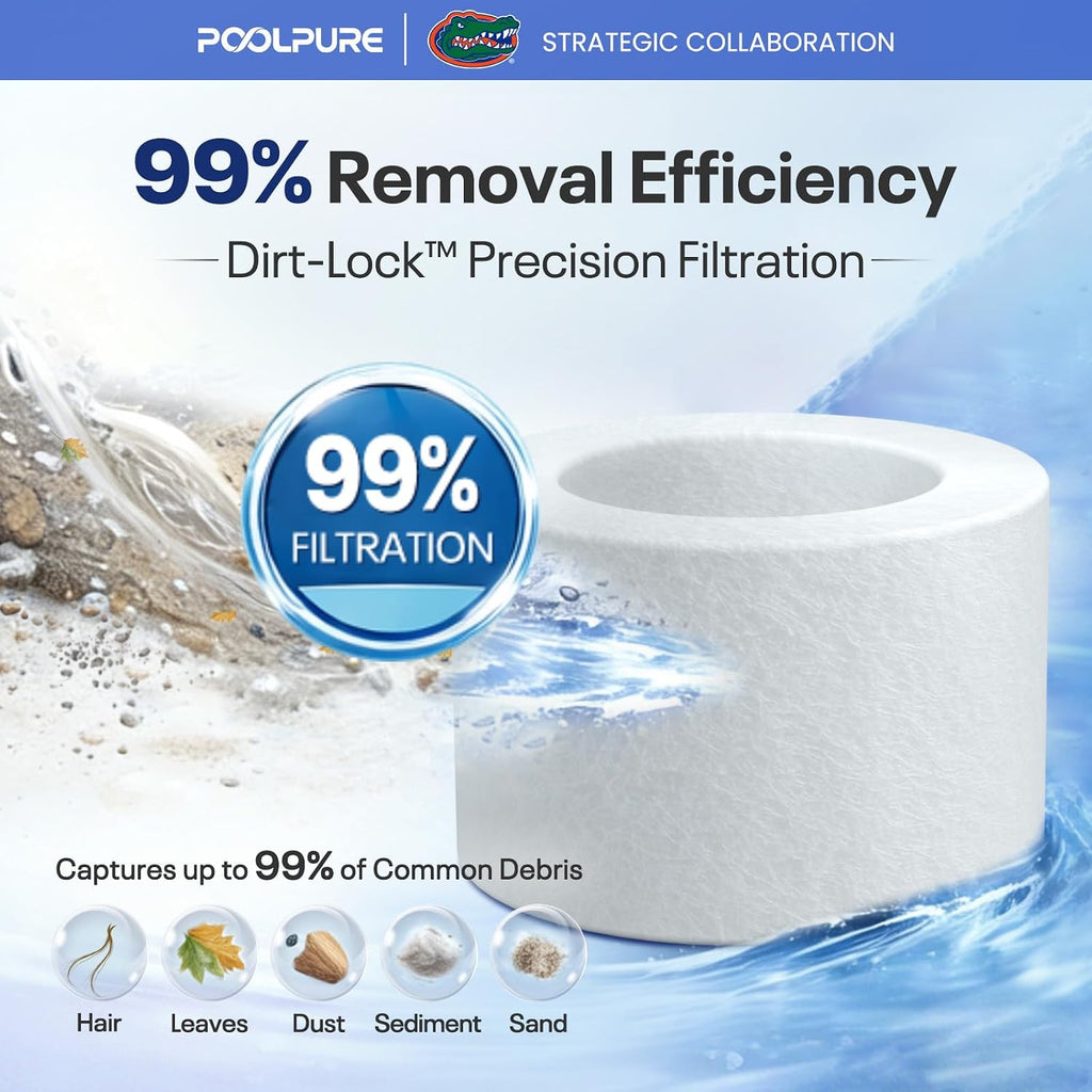 POOLPURE FC-2812 SPA Filter Replaces Sundance 6540-502 1PACK