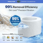 POOLPURE FC-2812 SPA Filter Replaces Sundance 6540-502 1PACK