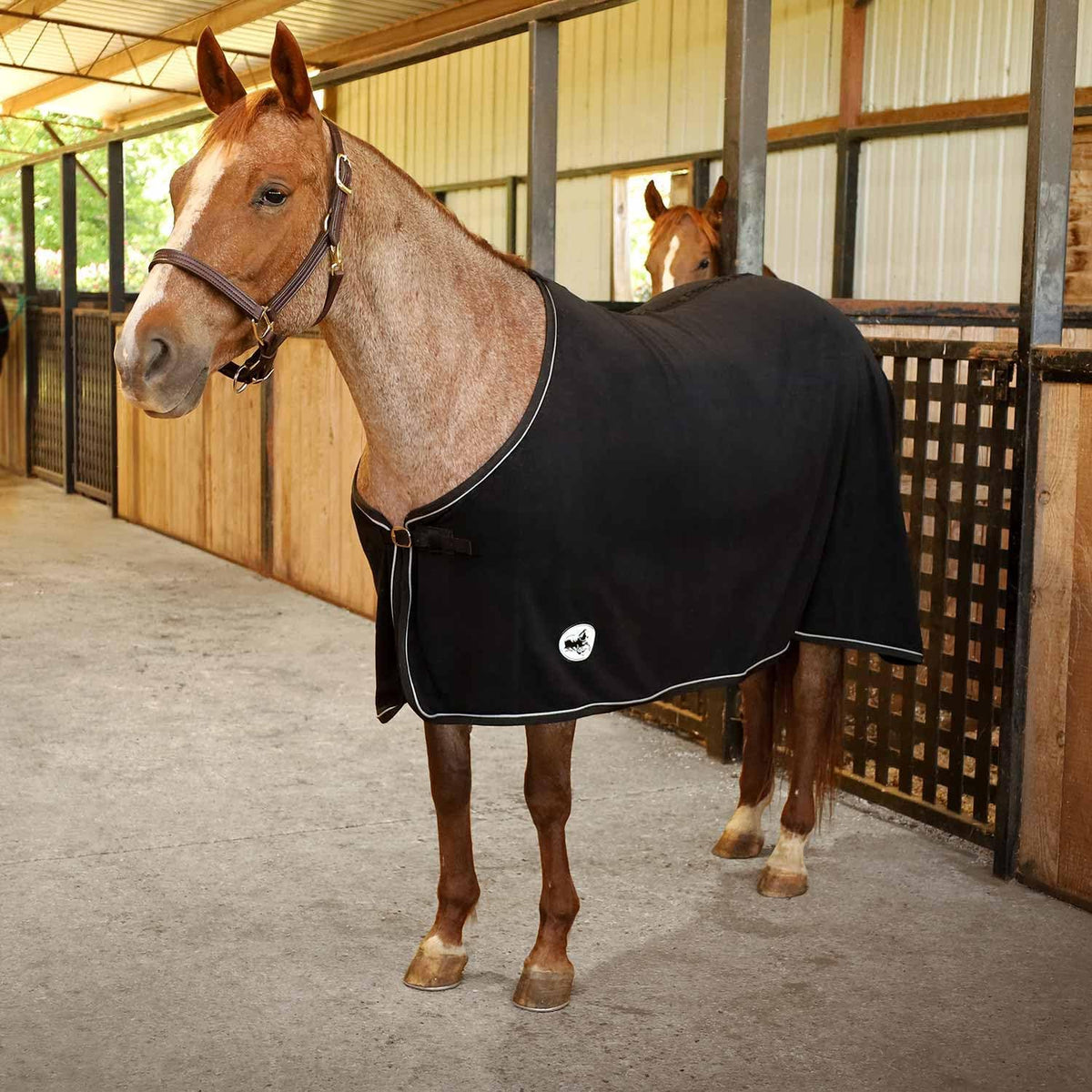 Elite Fleece Cooler Blanket for Horses, 78" – Contoured Moisture Wicking Horse Cooler, Lightweight Breathable Fleece