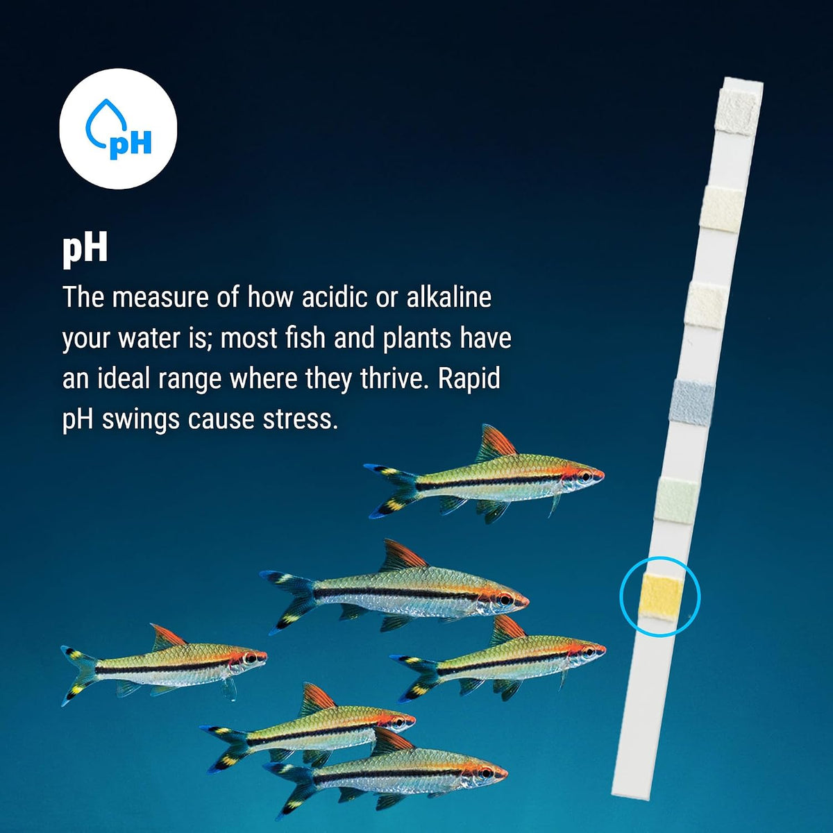 Fritz 6 in 1 Aquarium Test Strips - Monitor Nitrates, Nitrites, Water Hardness, Chlorine, Alkalinity and pH Level