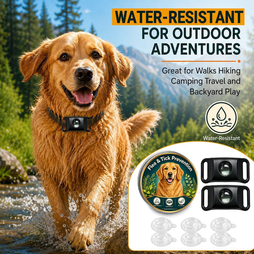 Flea and Tick Prevention Pendant for Dogs, Long Lasting 30 Days Protection, Dog Flea and Tick Collar Alternative with