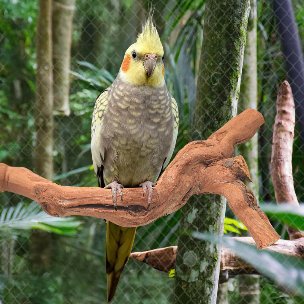 3-Piece Premium Bird Perch Stand with Natural Grape Wood Branch, Paw Grinding Fork, Chewing Stick, Cage Accessories