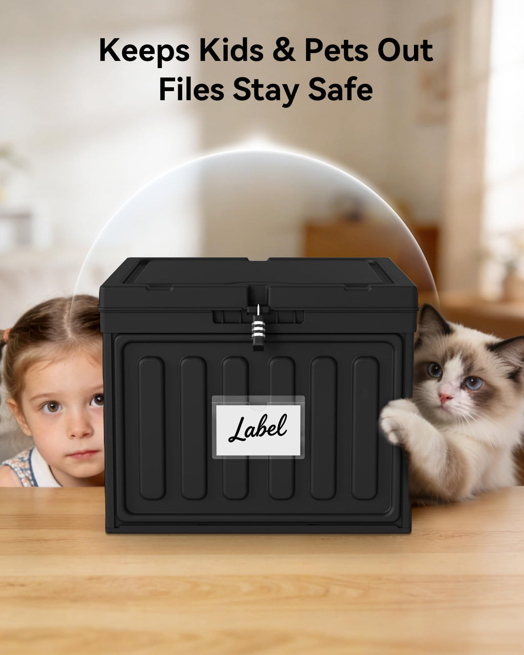Lockable Plastic File Box with Lid for Letter-Size