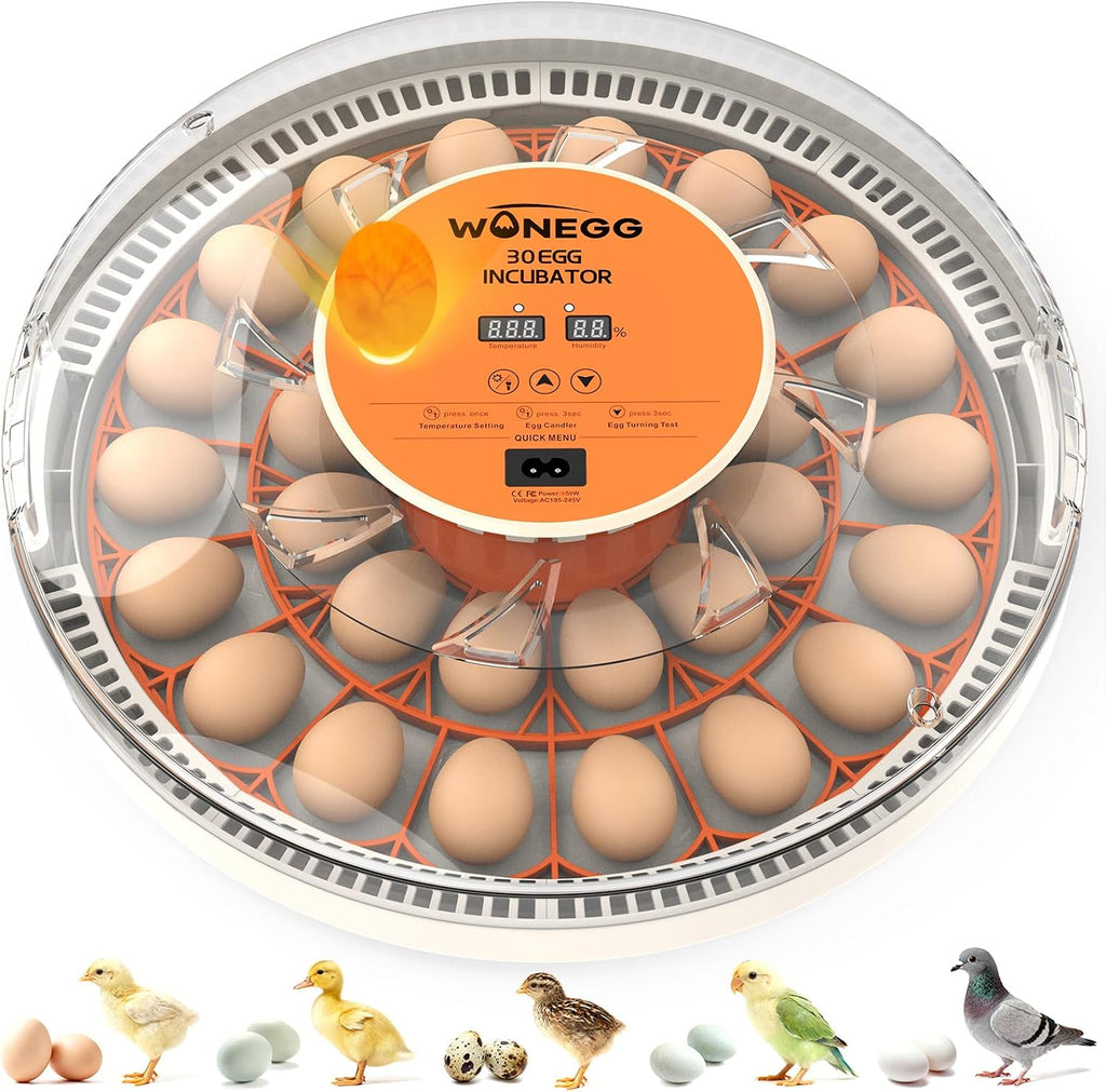 30 Egg Incubator, Incubators for Hatching Eggs with Auto Egg Turner, Automatic Temperature Control, LED Candle Light