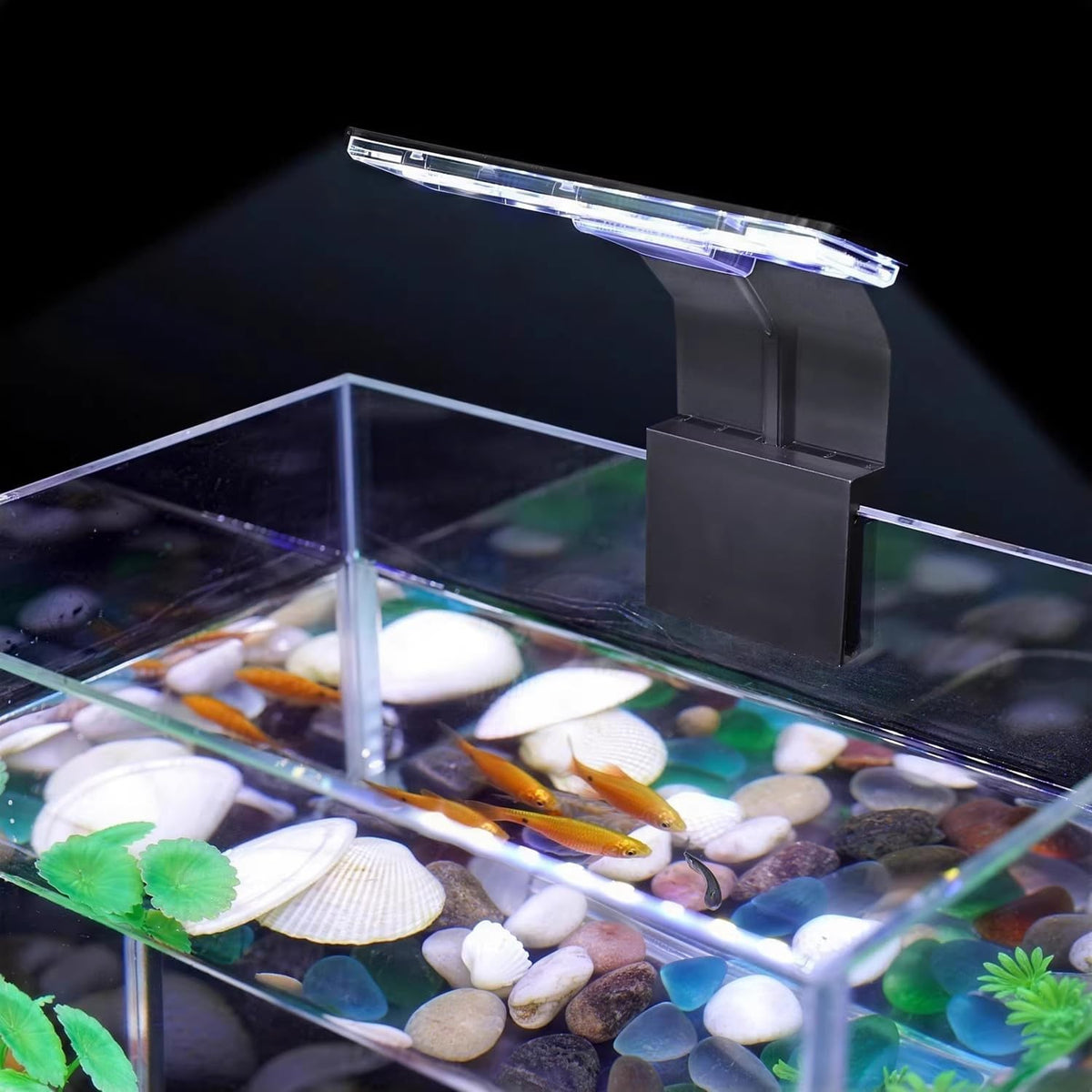 Mini Clip On Fish Tank Light 7W Small Aquarium Light for 1 to 5 Gallon Nano Tanks USB Moving Lamp with White Red Blue