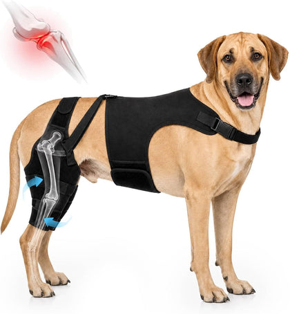 Adjustable Dog Knee Braces for Back Leg – Dual Hind Leg Support with Harness – Orthopedic Wrap for ACL CCL Tear