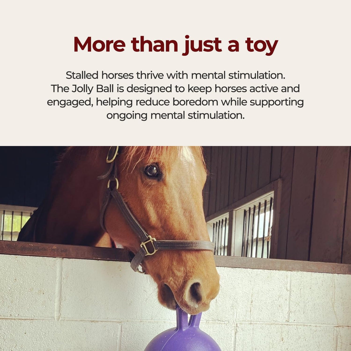 10 in Jolly Ball Horse Toy, Light Purple