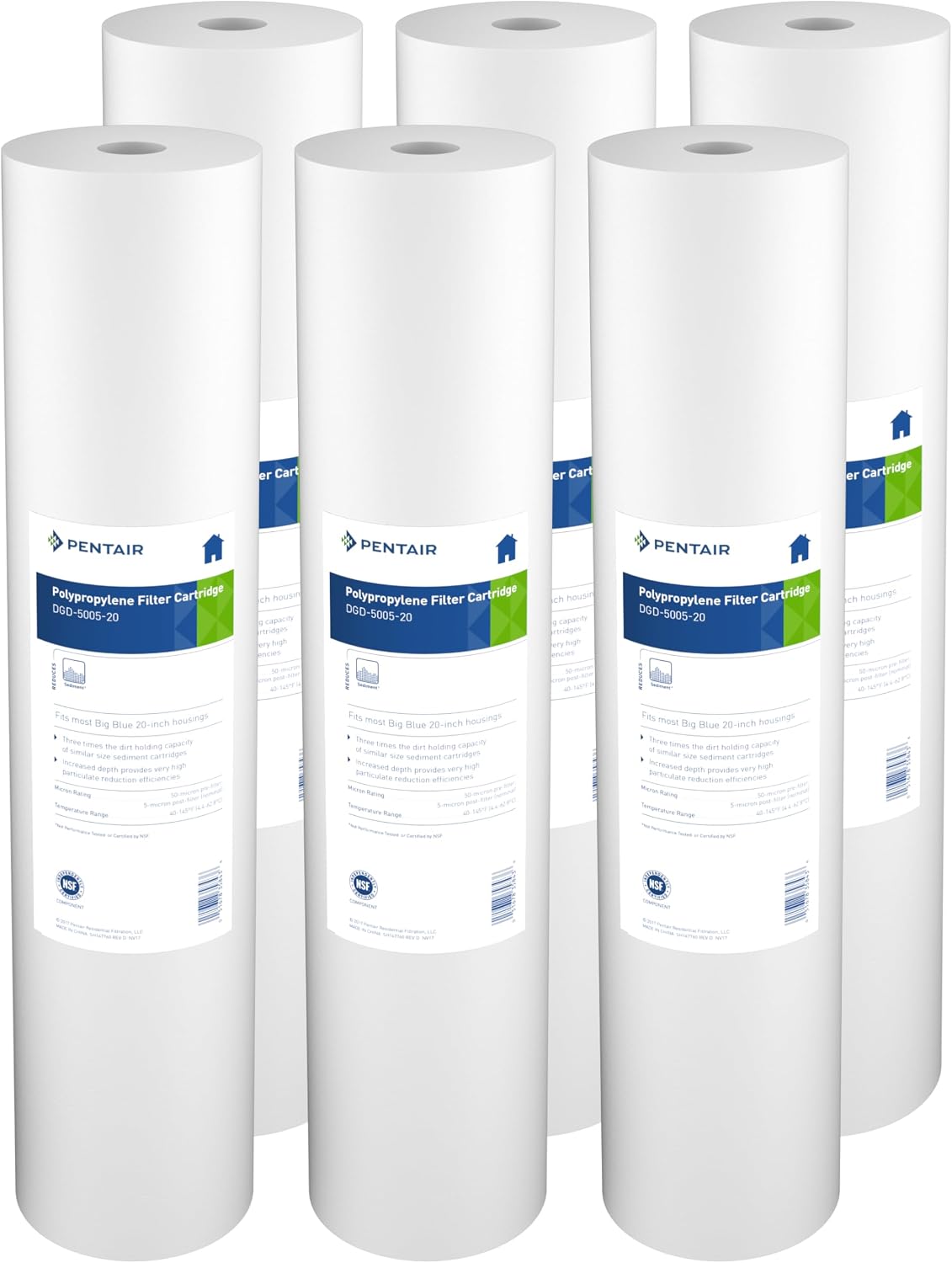 Pentair Pentek DGD-5005-20 Big Blue Whole House Sediment Filter
