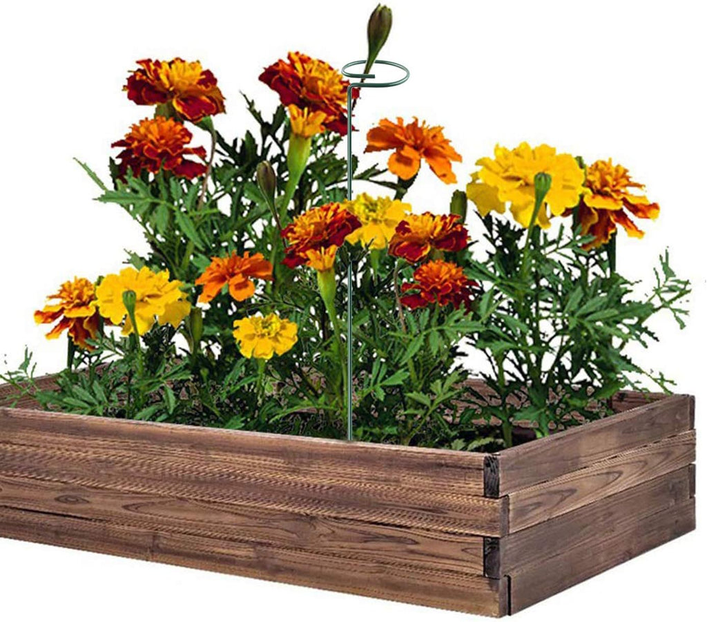 Plant Stake Support - 6 Pack, Garden Single Stem Support Stake Plant Cage Support Rings, Single Stem Plant Support