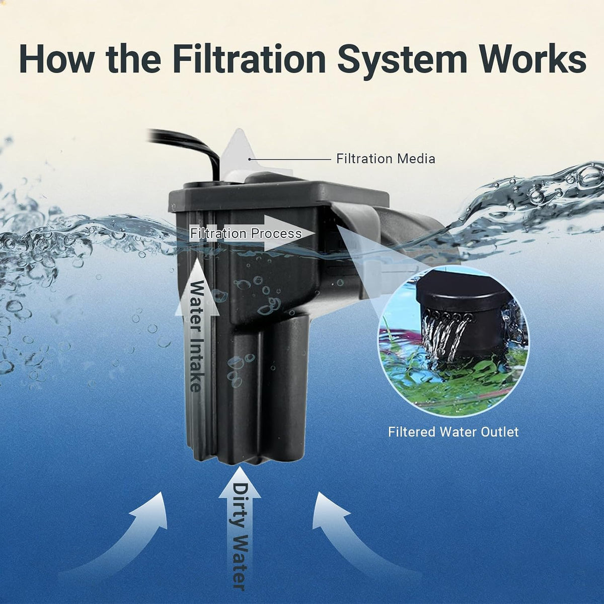 5-Gallon Aquarium Kit with LED Lighting and Power Filter, Ideal for a Variety of Tropical Fish