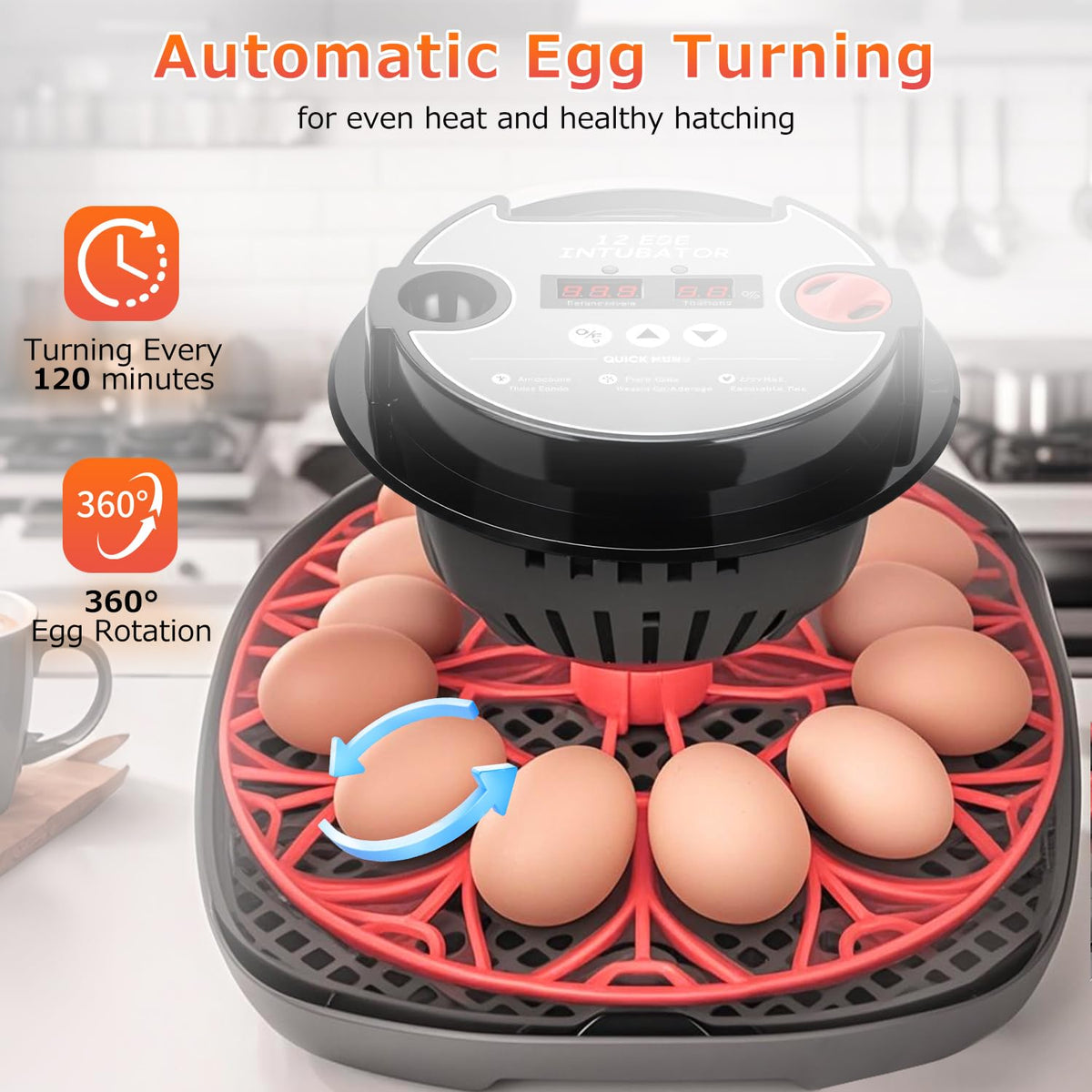 12 Egg Incubators for Hatching Eggs Automatic Egg Incubator with Temperature Control Humidity Control and Display for