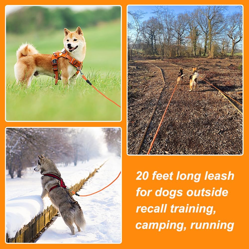 Long Dog Leash, 32ft Floating Dog Training Leash, Orange