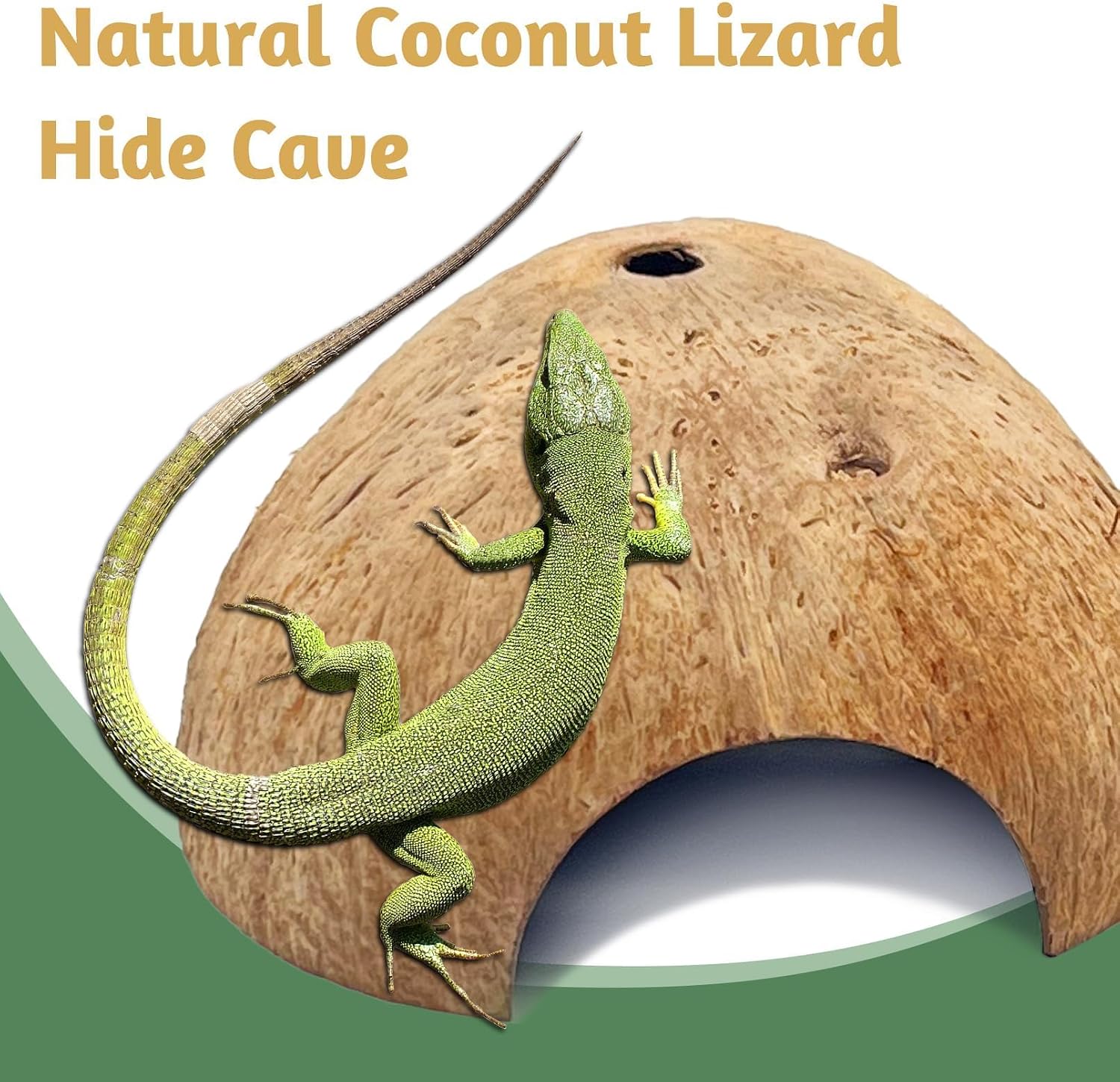 2 PCS Natural Coconut Reptile Hideouts Lizard Coco Hut Hermit Crab Hut Aquarium Fish Hide Cave Spider Snail Climber Toys