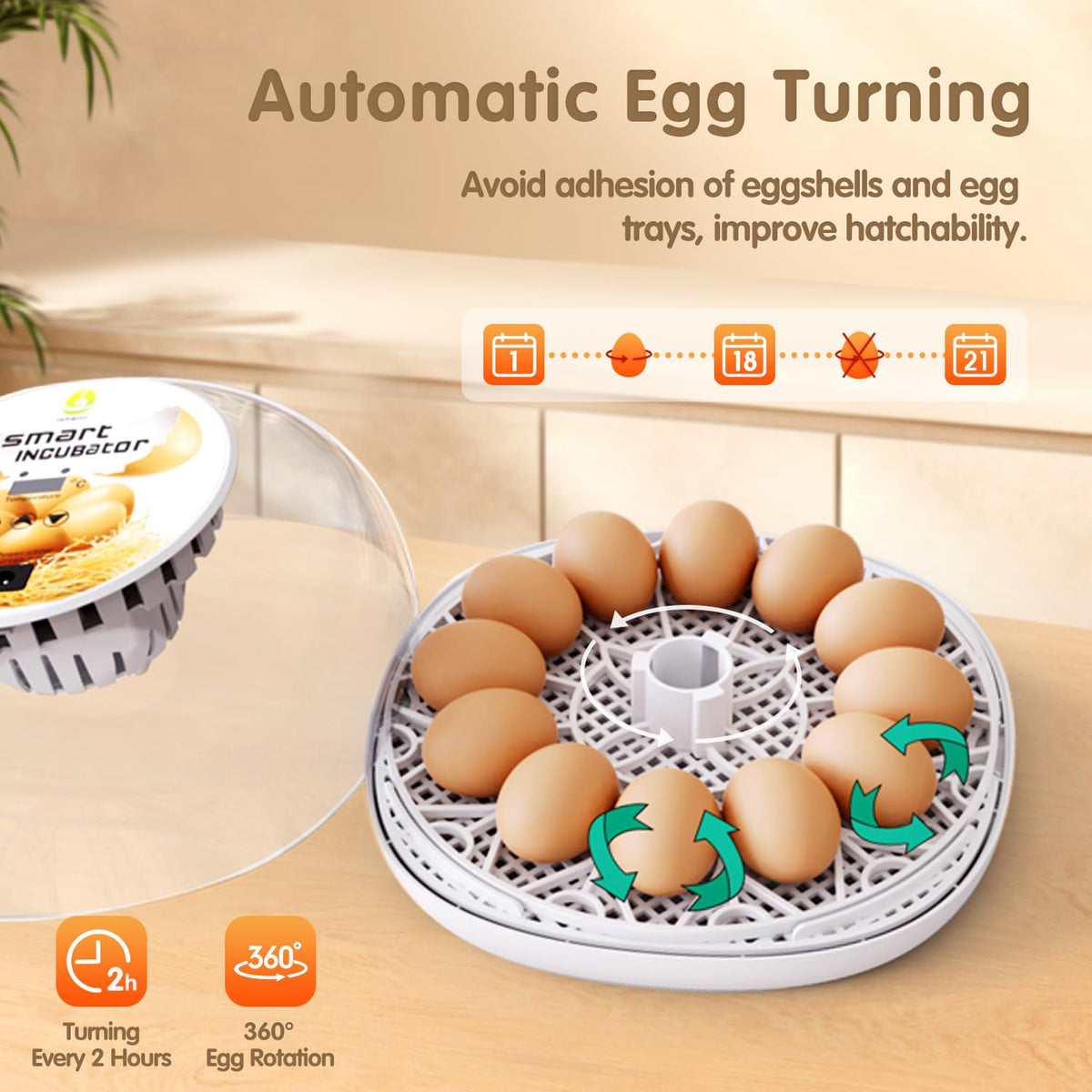 Incubators for Hatching Eggs Quail Egg Incubator 12 Eggs with Automatic Egg Turning and Humidity Control 360° Viewing